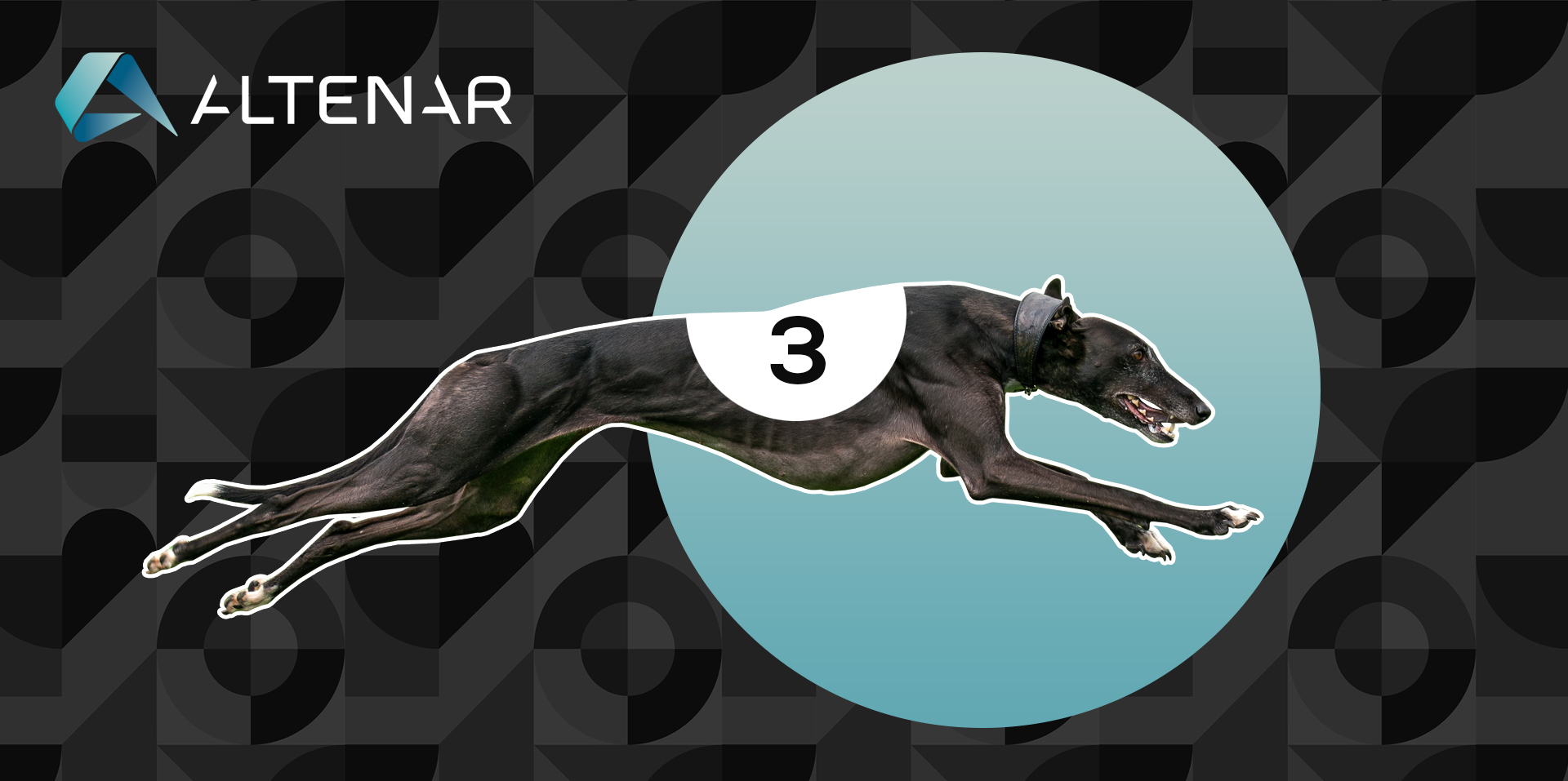 Greyhound Racing Software — Is it Necessary?