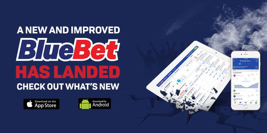 bluebet