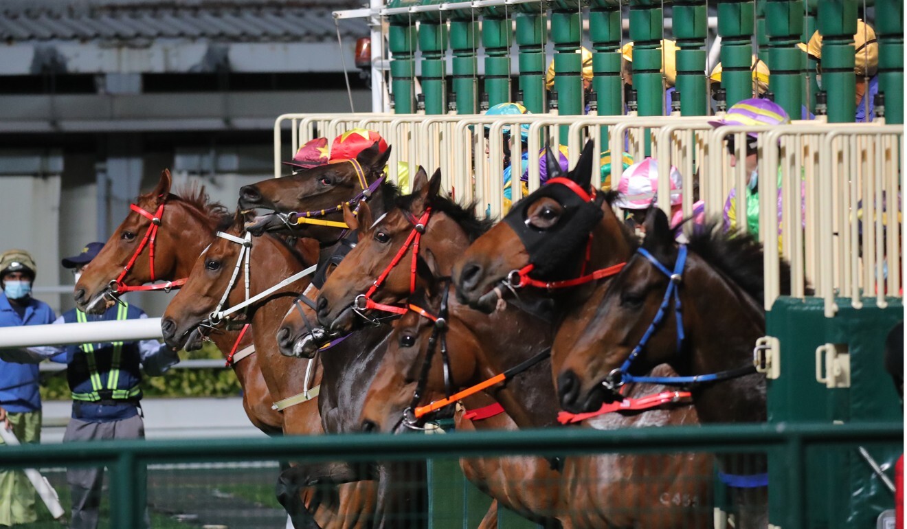 Horses take off at Happy Valley on Wednesday night.