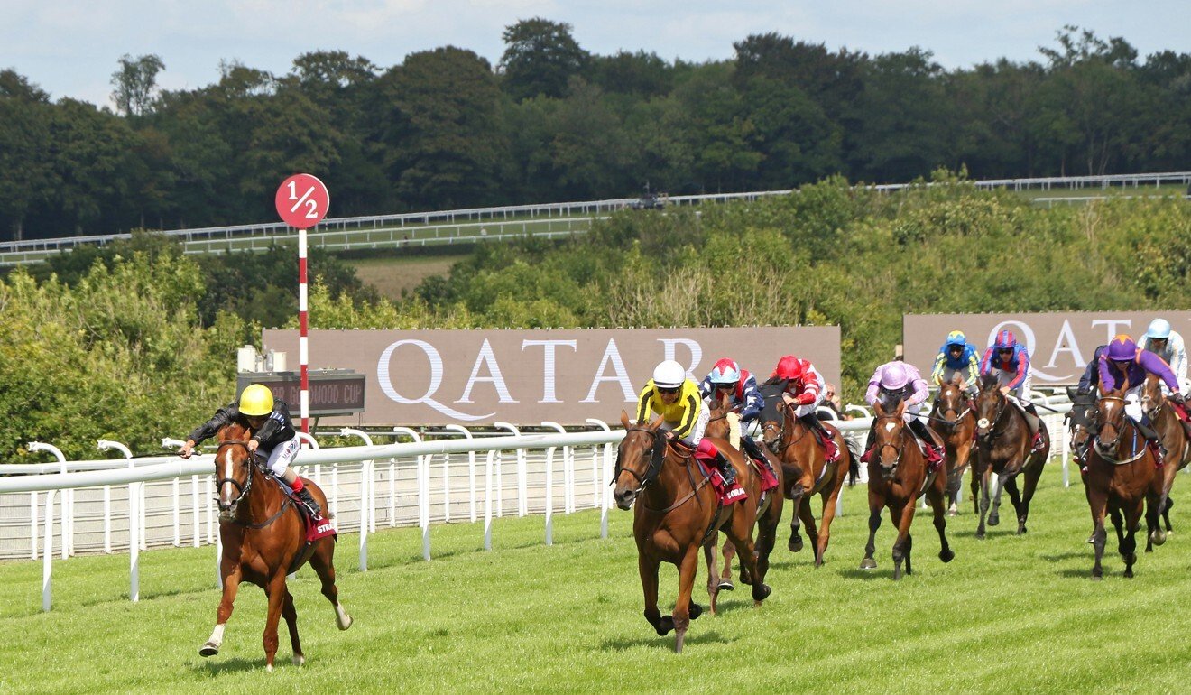 Stradivarius wins the Qatar Goodwood Cup. Photo: RACINGFOTOS.COM