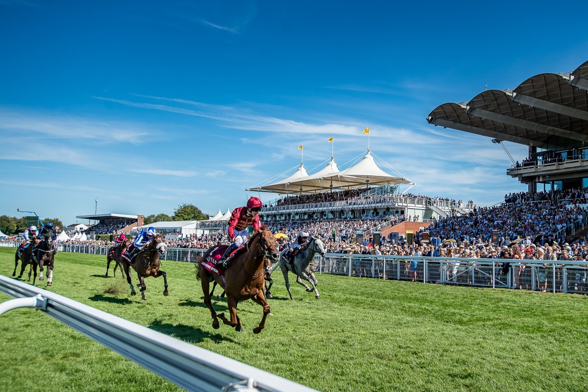 Horses compete at Glorious Goodwood. Photo: Sarah Farnsworth