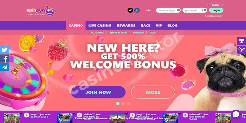 Spin Pug Casino: Homepage