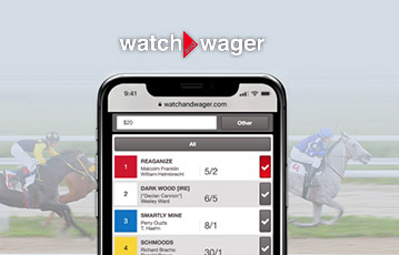 Watch and Wager US Review